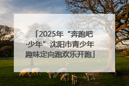 2025年“奔跑吧·少年”沈阳市青少年趣味定向跑欢乐开跑