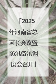 2025年河南省总河长会议暨防汛备汛调度会召开