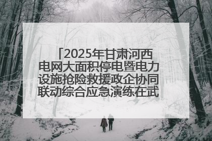 2025年甘肃河西电网大面积停电暨电力设施抢险救援政企协同联动综合应急演练在武威成功举行
