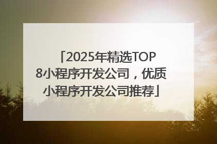 2025年精选TOP8小程序开发公司，优质小程序开发公司推荐