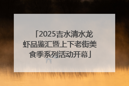 2025吉水清水龙虾品鉴汇暨上下老街美食季系列活动开幕
