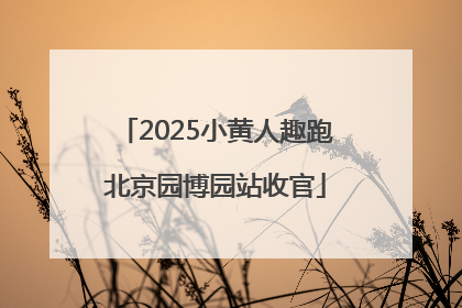 2025小黄人趣跑北京园博园站收官