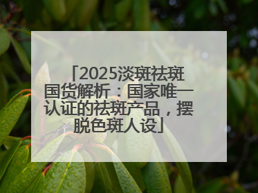 2025淡斑祛斑国货解析：国家唯一认证的祛斑产品，摆脱色斑人设