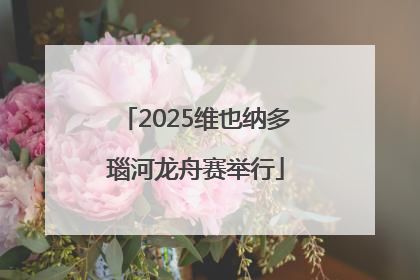 2025维也纳多瑙河龙舟赛举行