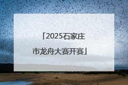 2025石家庄市龙舟大赛开赛