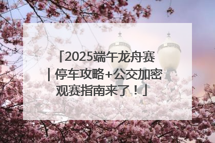 2025端午龙舟赛｜停车攻略+公交加密 观赛指南来了！