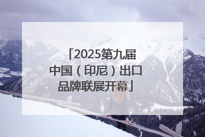 2025第九届中国（印尼）出口品牌联展开幕