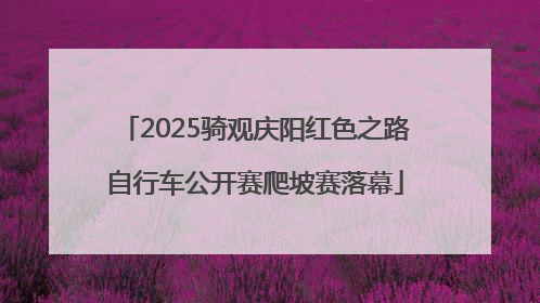 2025骑观庆阳红色之路自行车公开赛爬坡赛落幕