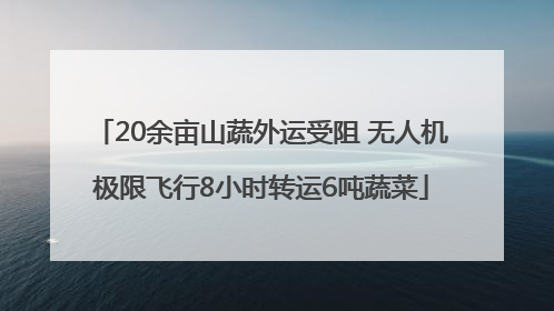 20余亩山蔬外运受阻 无人机极限飞行8小时转运6吨蔬菜