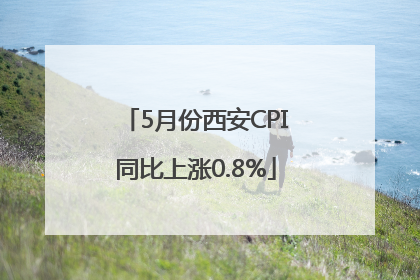 5月份西安CPI同比上涨0.8%