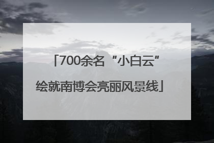 700余名“小白云”绘就南博会亮丽风景线