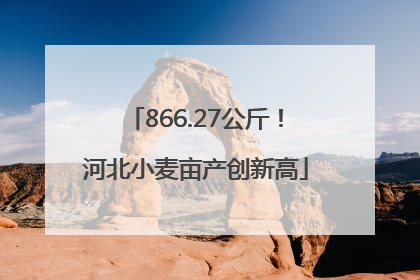 866.27公斤！河北小麦亩产创新高