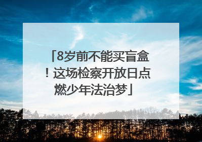 8岁前不能买盲盒！这场检察开放日点燃少年法治梦