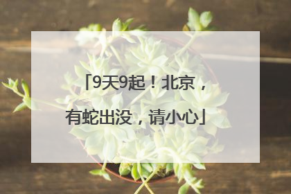 9天9起！北京，有蛇出没，请小心