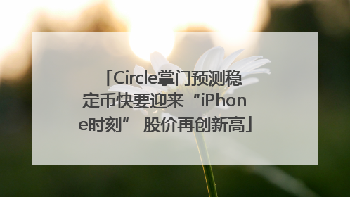 Circle掌门预测稳定币快要迎来“iPhone时刻” 股价再创新高
