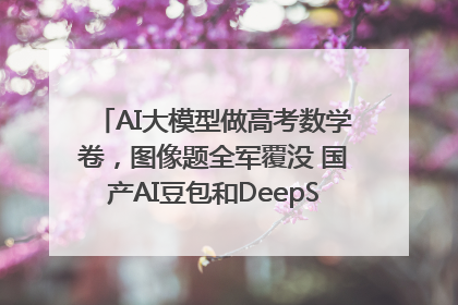 AI大模型做高考数学卷，图像题全军覆没 国产AI豆包和DeepSeek均得分144