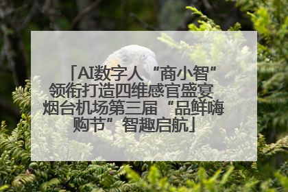AI数字人“商小智”领衔打造四维感官盛宴 烟台机场第三届“品鲜嗨购节”智趣启航