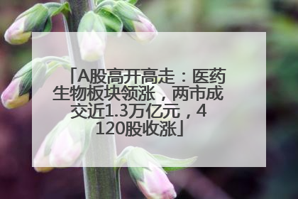 A股高开高走：医药生物板块领涨，两市成交近1.3万亿元，4120股收涨