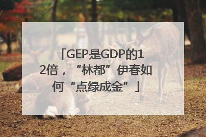 GEP是GDP的12倍，“林都”伊春如何“点绿成金”