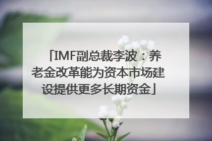 IMF副总裁李波：养老金改革能为资本市场建设提供更多长期资金