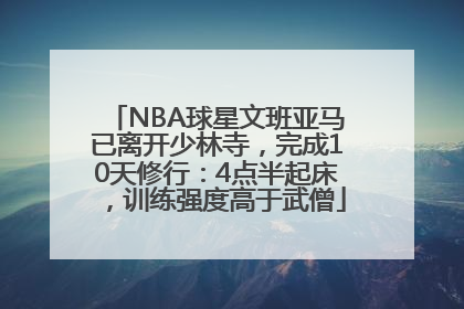 NBA球星文班亚马已离开少林寺，完成10天修行：4点半起床，训练强度高于武僧