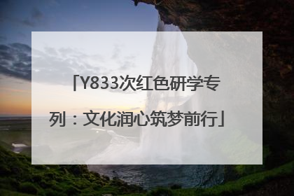 Y833次红色研学专列：文化润心筑梦前行