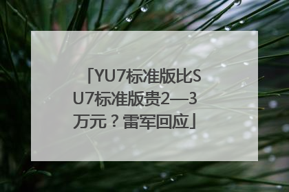 YU7标准版比SU7标准版贵2—3万元？雷军回应